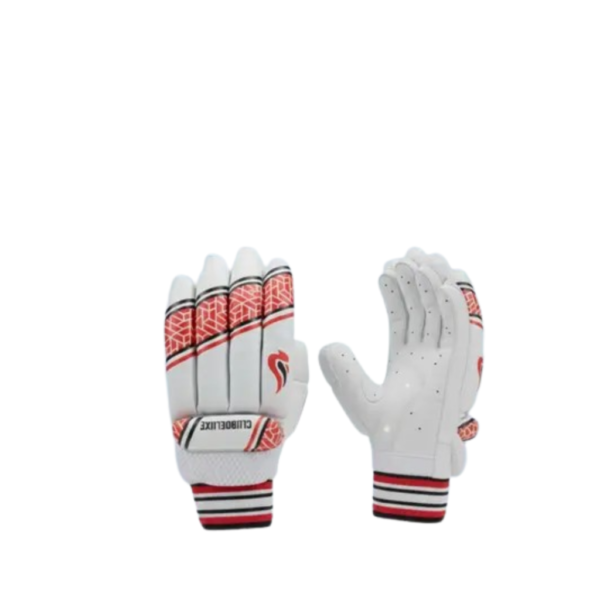 GJSHOP Cricket Batting Gloves